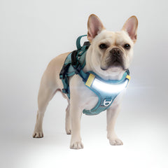 Harnais Lumi One DEL pour chien offrant 1000 lumens pour une visibilité nocturne accrue.