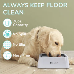 LumoLeaf bol chien filtre remplaçable pour eau plus fraîche.