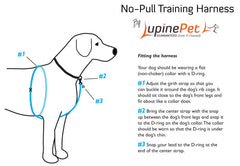 Harnais LupinePet Rain Song pour petits et moyens chiens, pratique au quotidien.