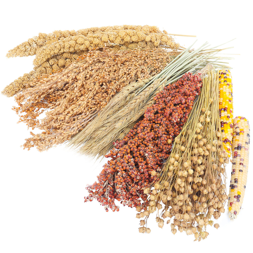 LUVCOSY Ble et Lin : décor naturel pour l’habitat et enrichissement alimentaire.