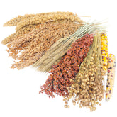 LUVCOSY Ble et Lin : décor naturel pour l’habitat et enrichissement alimentaire.