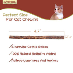 Luystoka Silvervine Sticks : premier plan sur le bâton en bois.