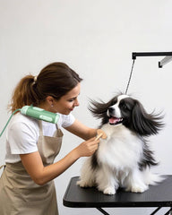 Sèche-poil L&W BROS pour chien mains libres autour du cou, pratique et calme.