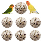 LWINGFLYER Balles Sola pour perroquet: jeu de mâchage naturel et stimulant.