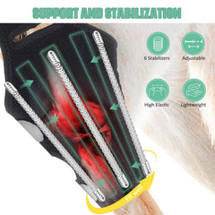 Lyderpet attelle genou chien: sangles ajustables pour un ajustement sûr.
