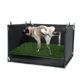 MABOZOO Bac d’Herbe pour Chien avec gazon artificiel, sensation naturelle et réutilisable.