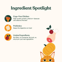 Morceaux de pommes, carottes et citrouille — ingrédients naturels pour le goût.