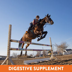 MagnaGard Plus-poudre prevention ulceres, soutien digestif potentiel.