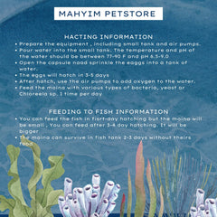 MAHYIM Moina Macrocopa crustacés d'eau douce, nourriture vivante pour poissons domestiques.