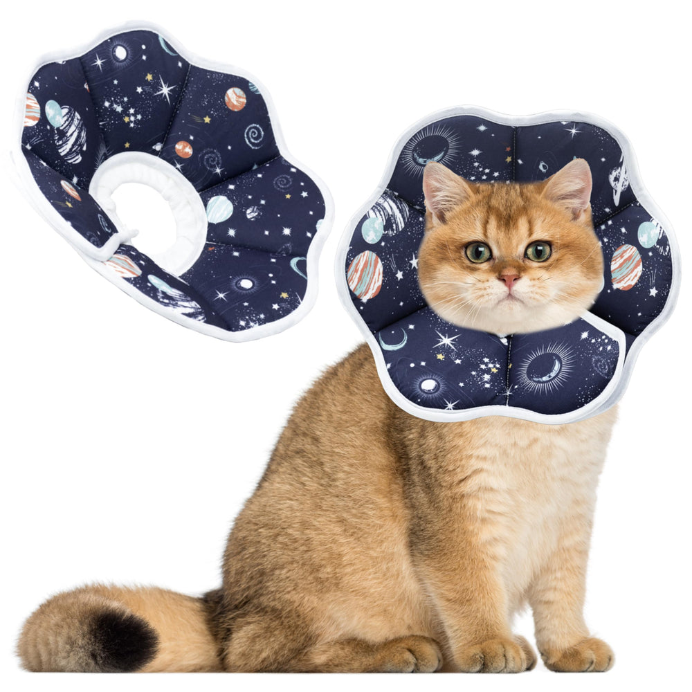 Collier Maiiu cône chat doux, confort et liberté de mouvement.