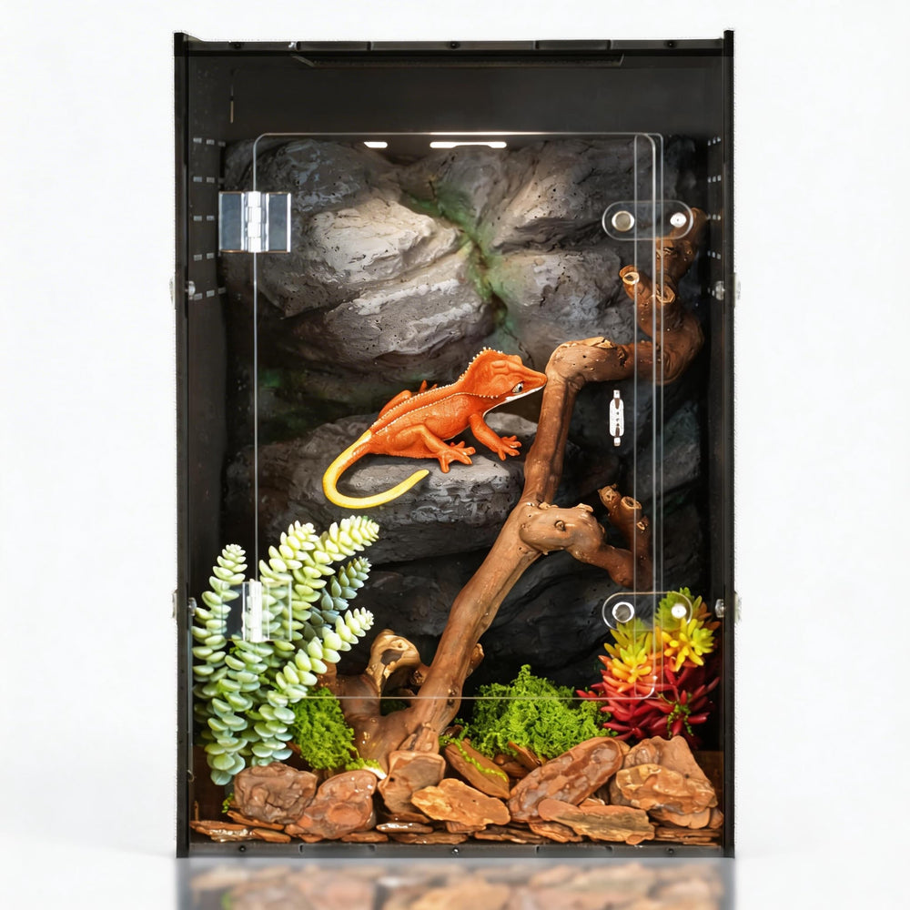 Terrarium maiyuolg 10 galons: vue intérieure sombre offrant un habitat sûr pour reptiles.
