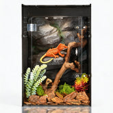 Terrarium maiyuolg 10 galons: vue intérieure sombre offrant un habitat sûr pour reptiles.