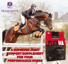 Sachet de Majesty's Flex HA galettes, 60 pièces.