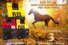 Texture douce des gaufres FlexHA, ingestion facile par le cheval.