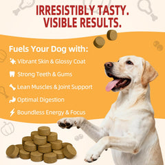 Friandise dinde lyophilisée Major Pets soutient la digestion grâce aux fibres.