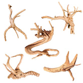 Majoywoo bois araignee branche 4-8 pouces, décor naturel pour aquarium et terrarium.