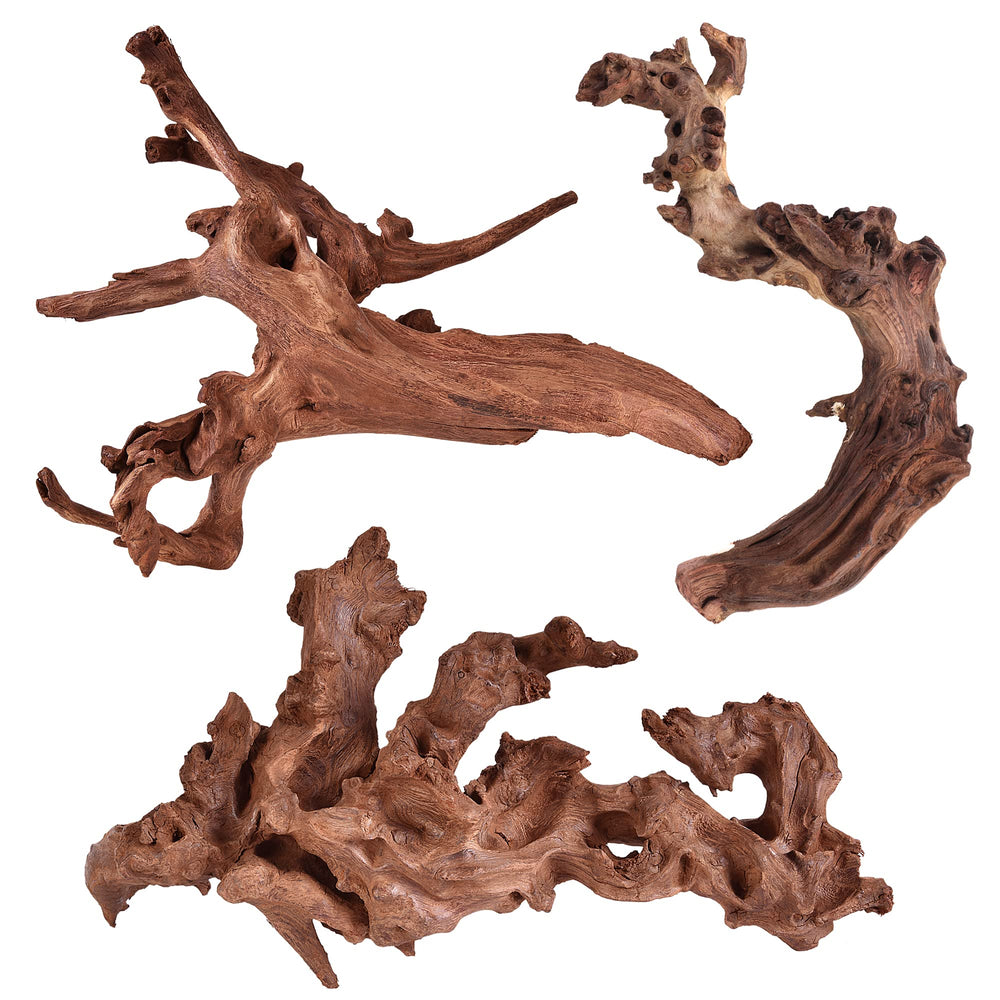 Majoywoo bois flotté corail branche 6-10 pouces, décor naturel pour aquarium