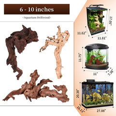 Majoywoo bois flotté corail branche 6-10 pouces, apporte caractère et structure