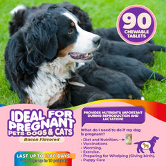 Makondo Pets – lactation et soutien du lait maternel