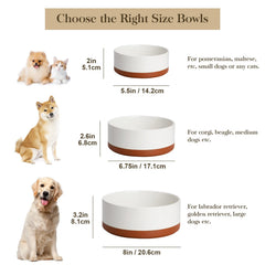 Bol MALACASA 1,5 tasses, idéal pour repas quotidiens des chiots.