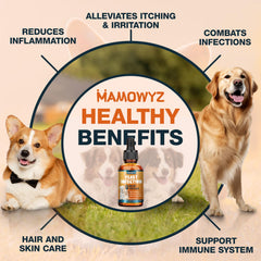 Chien détendu après application des gouttes Mamowyz, parfum léger et naturel.