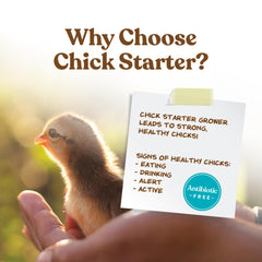 Manna Pro Alimentation poussins non médicamenteuse pour une croissance naturelle.
