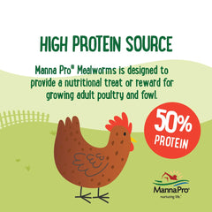 Oiseaux dégustant Manna Pro Mealworms, source protéique naturelle favorisant l'énergie.
