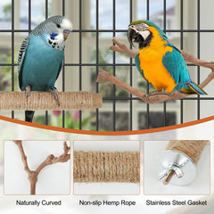 Manoai perchoir naturel bois pomme, design varié pour grimper et ronger.