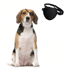 Patch œil chien simple Manon Rosa, protégeant l'œil lors de la récupération