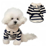 MANON ROSA polo chien bleu sur le dos, sortie confortable