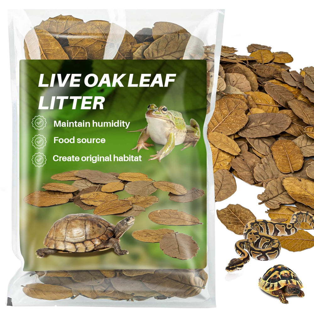 MaQIHAN feuilles-chene-seches, substrat naturel pour terrarium et humidité.