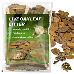 MaQIHAN feuilles-chene-seches, substrat naturel pour terrarium et humidité.