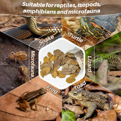 MaQIHAN substrat-terarium-vivant, écosystème sain pour reptiles et isopodes.