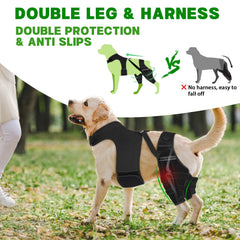 Brace de rééducation canine arrière pour rétablissement et mobilité