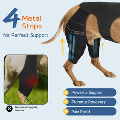 Marnonsis système antidérapant attache attelle patte arrière chien maintien en place