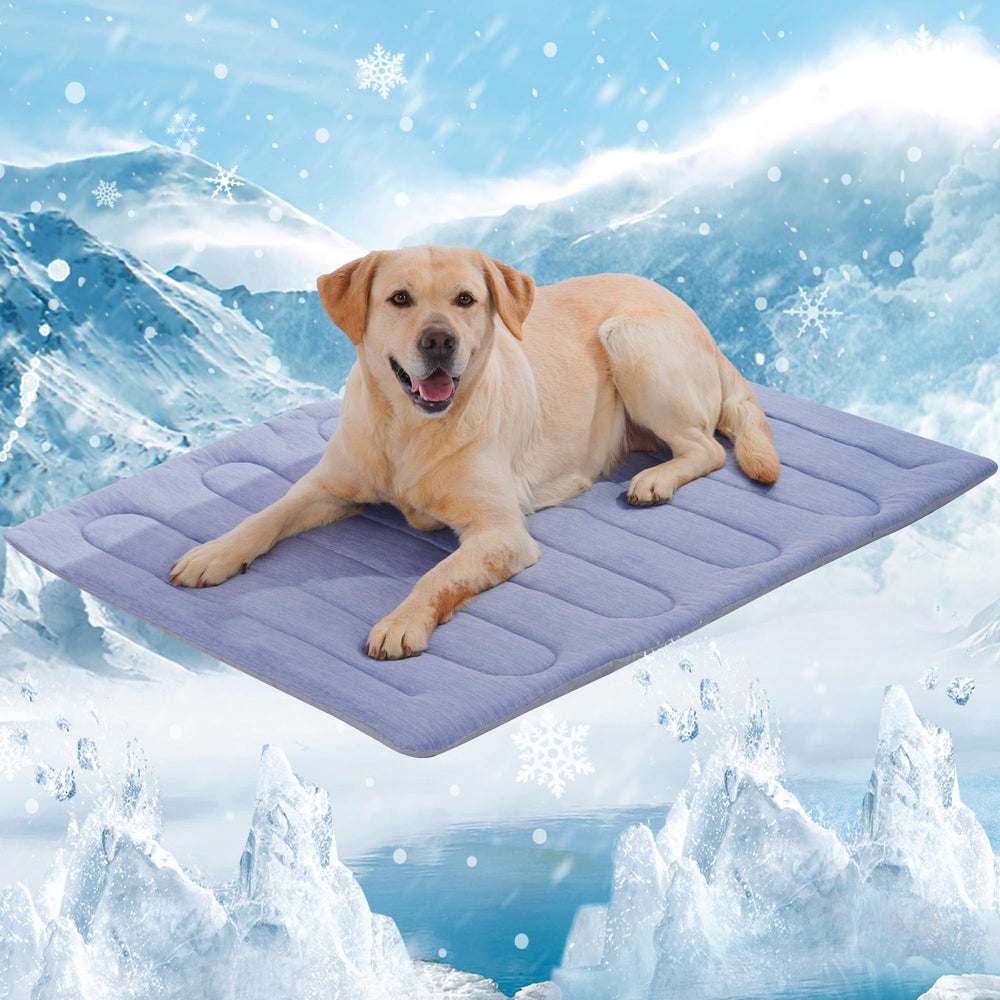 MARUNDA Tapis froid chien : contact immédiat pour soulager la chaleur