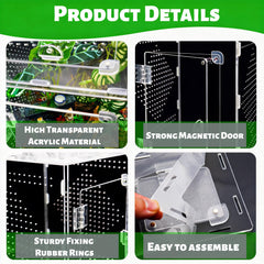 MaryCarrie visibilité cristal, clarté optimale pour admirer le terrarium