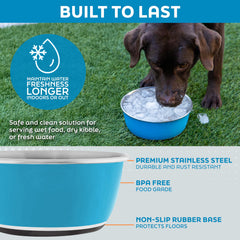 Master Pet Supply bol inox anti-dérapant Pistache, réduit les déversements sur le sol.