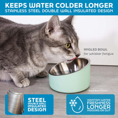 Master Pet Supply bol incline en inox 16 oz, design moderne pour intérieur.