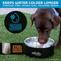 Master Pet Supply gamelle acier inox, surface résistante et facile à nettoyer.