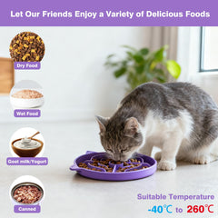 Bol MateeyLife compatible sec et humide, pratique selon l'alimentation.