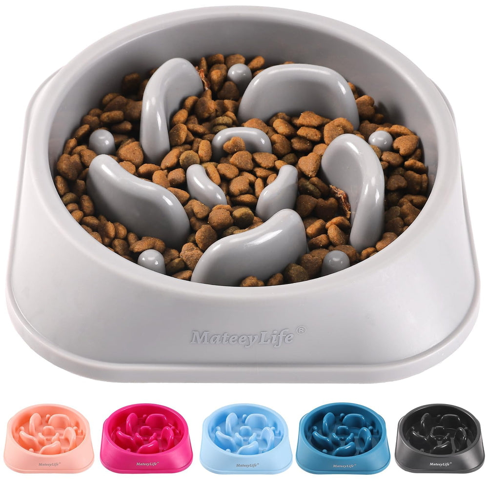 Bol ralentisseur MateeyLife pour chien, puzzle gris, aide à manger lentement.