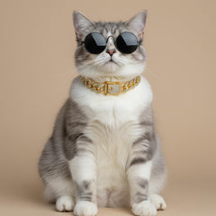 Mouvement flexible du collier Matwsec doré, confort quotidien pour animal domestique.