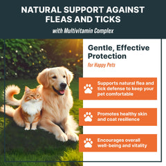 Ajout des gouttes MaxBuddy dans l'eau pour chiens et chats.