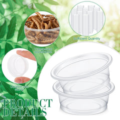 Maxcheck récipient PP clair sûr et durable pour reptiles.