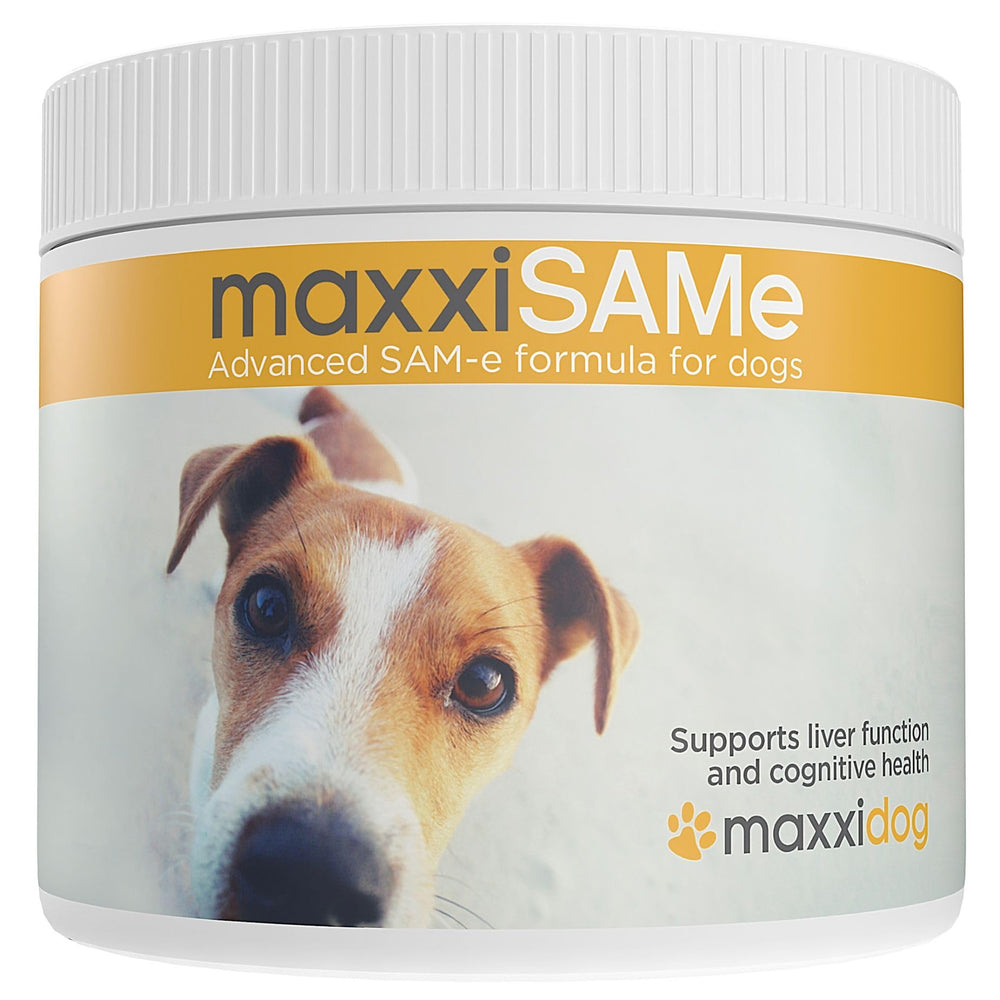 Bouteille maxxipaws maxxisame, poudre pratique pour soutenir la fonction hépatique du chien.
