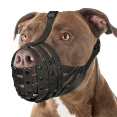 Masque basket Mayerzon vu générale pour grands chiens, sécurité et confort.