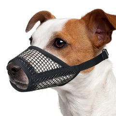 Mayerzon : masque chien maillage doux pour le confort.