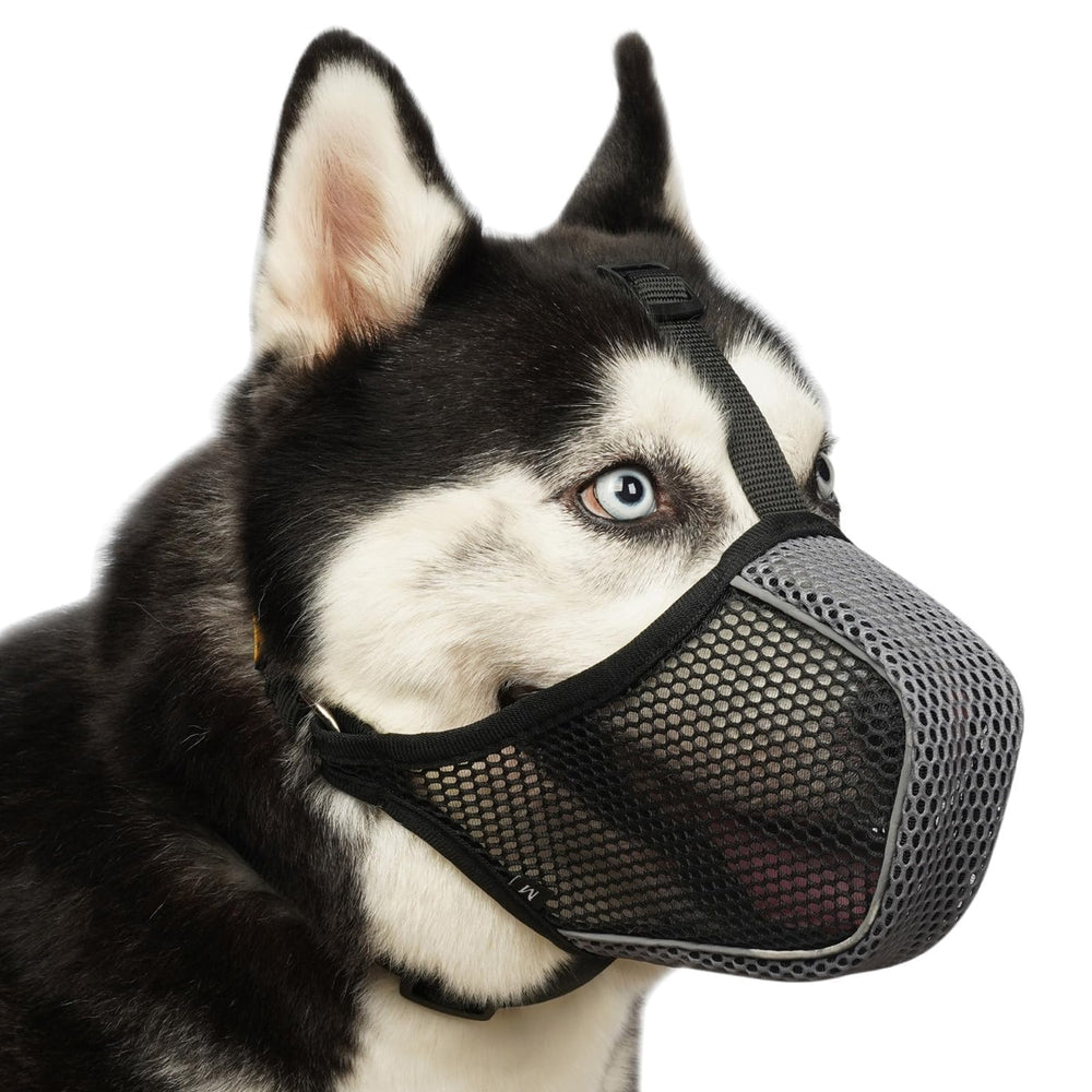 Mayerzon museau chien mesh confort, ventilation optimale pendant la promenade.