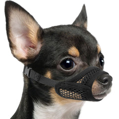 Museau Mayerzon en mesh pour petit chien, ventilation optimale lors des sorties quotidiennes.